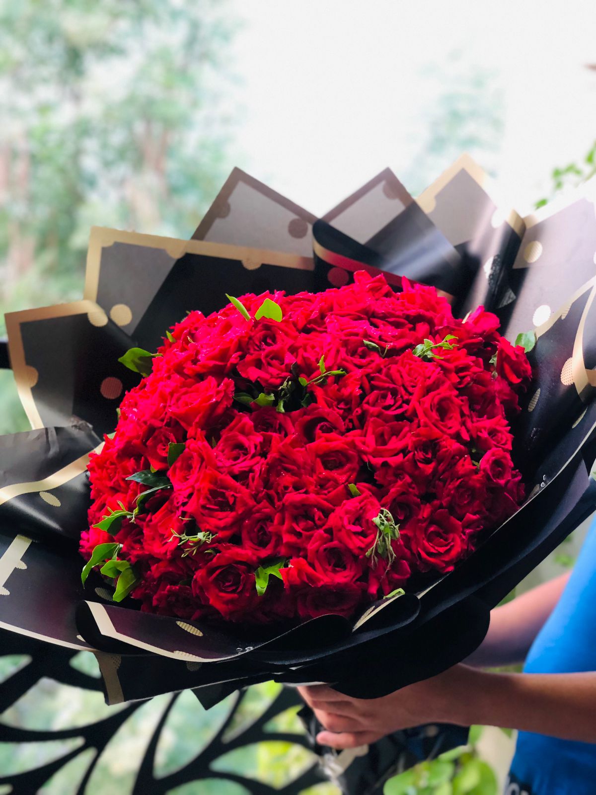 Garden of 200 Roses