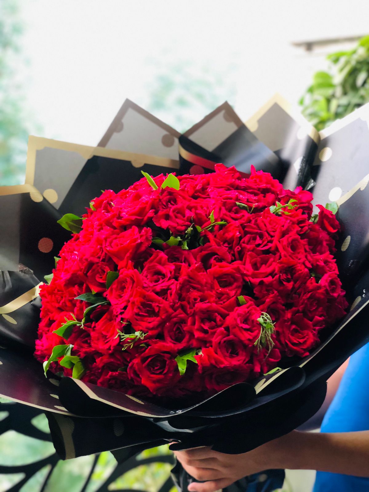 Garden of 200 Roses