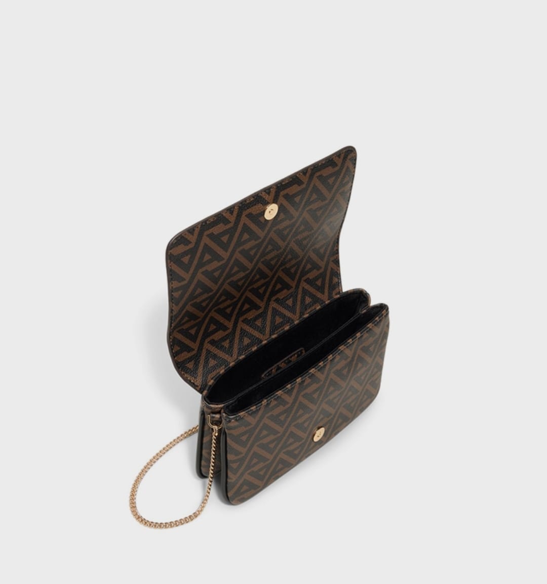 ALDO Crossbody Bag
