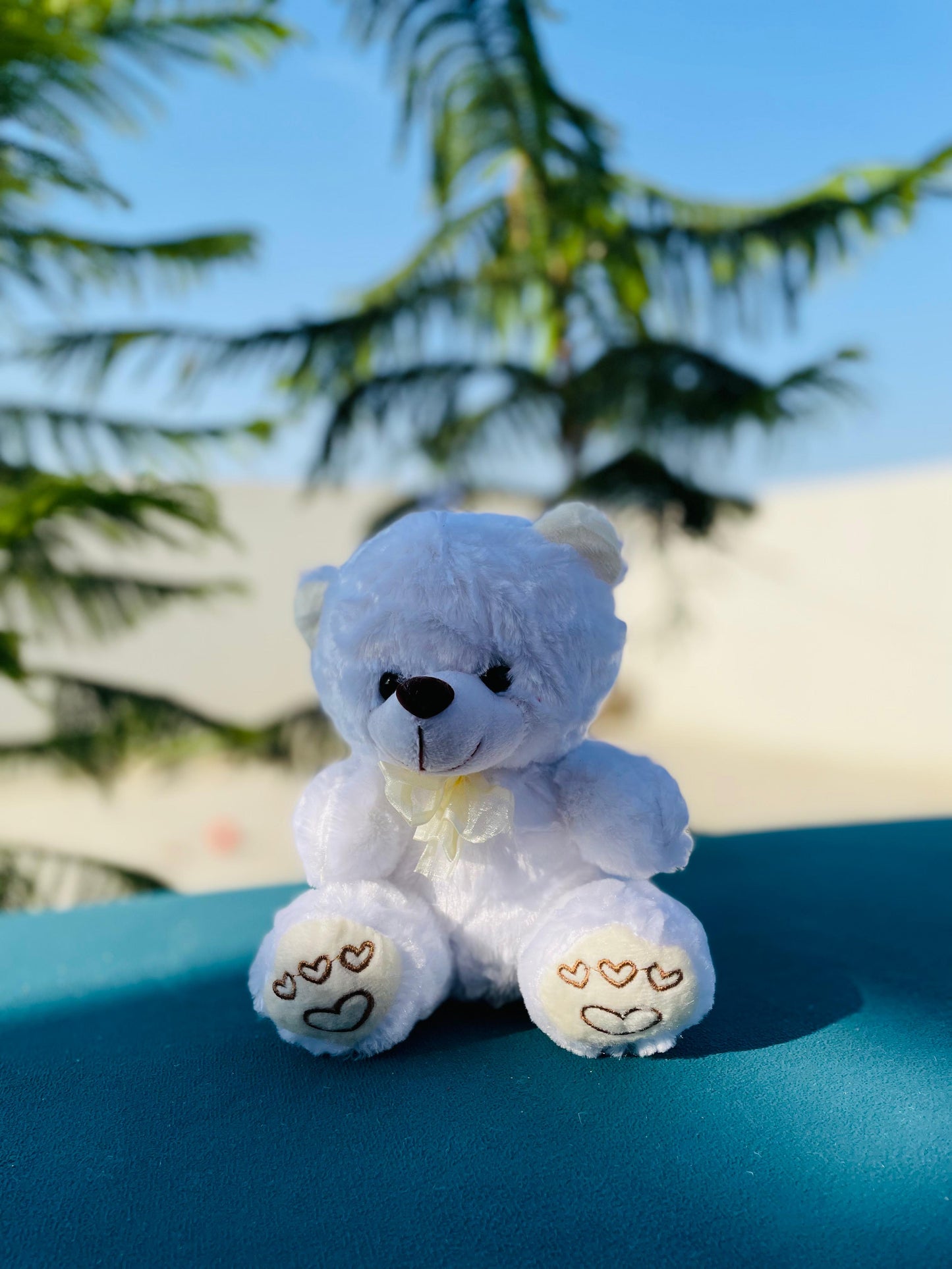 Small white teddy bear gift for her