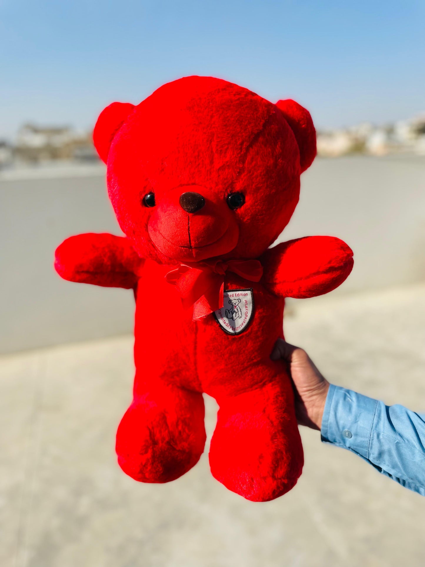 Red Teddy Bear