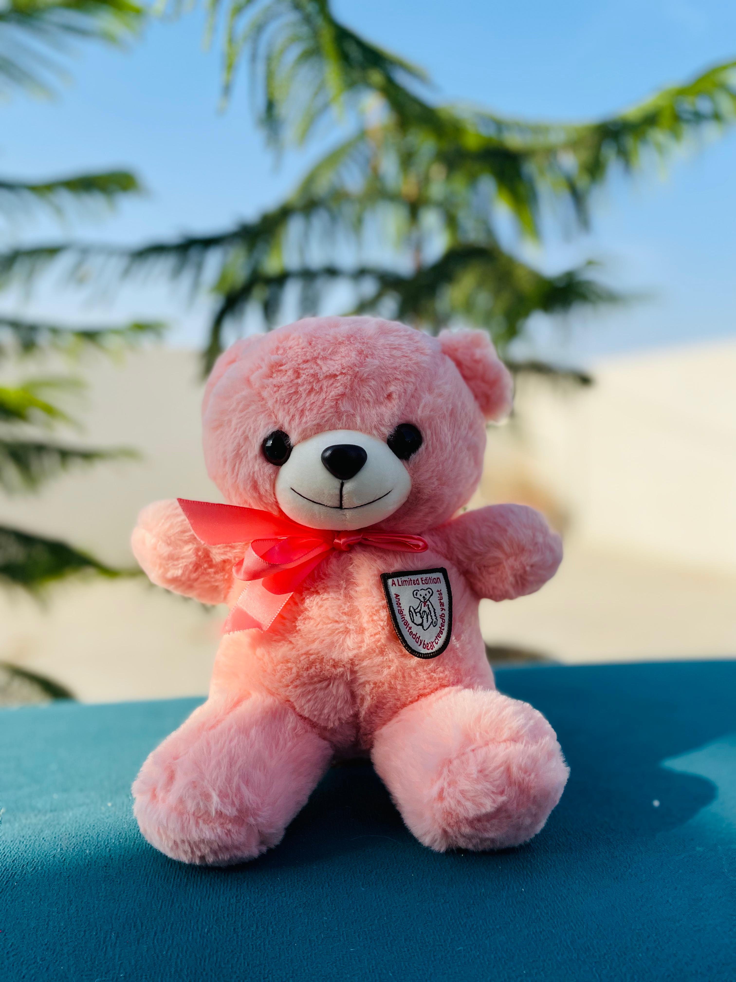 Soft Pink Teddy Bear | Cute Valentine Gift – Giftogram by Samana ...
