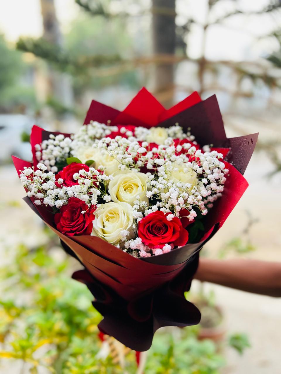 Red and white rose bouquet with white baby’s breath in premium red and burgundy wrapping