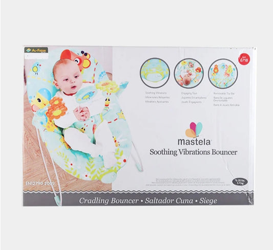 Soothing Vibrations Bouncer