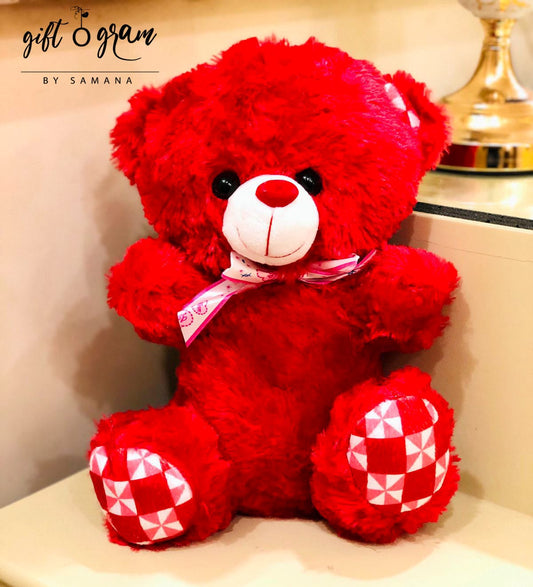 Cuddlesome Teddy Bear