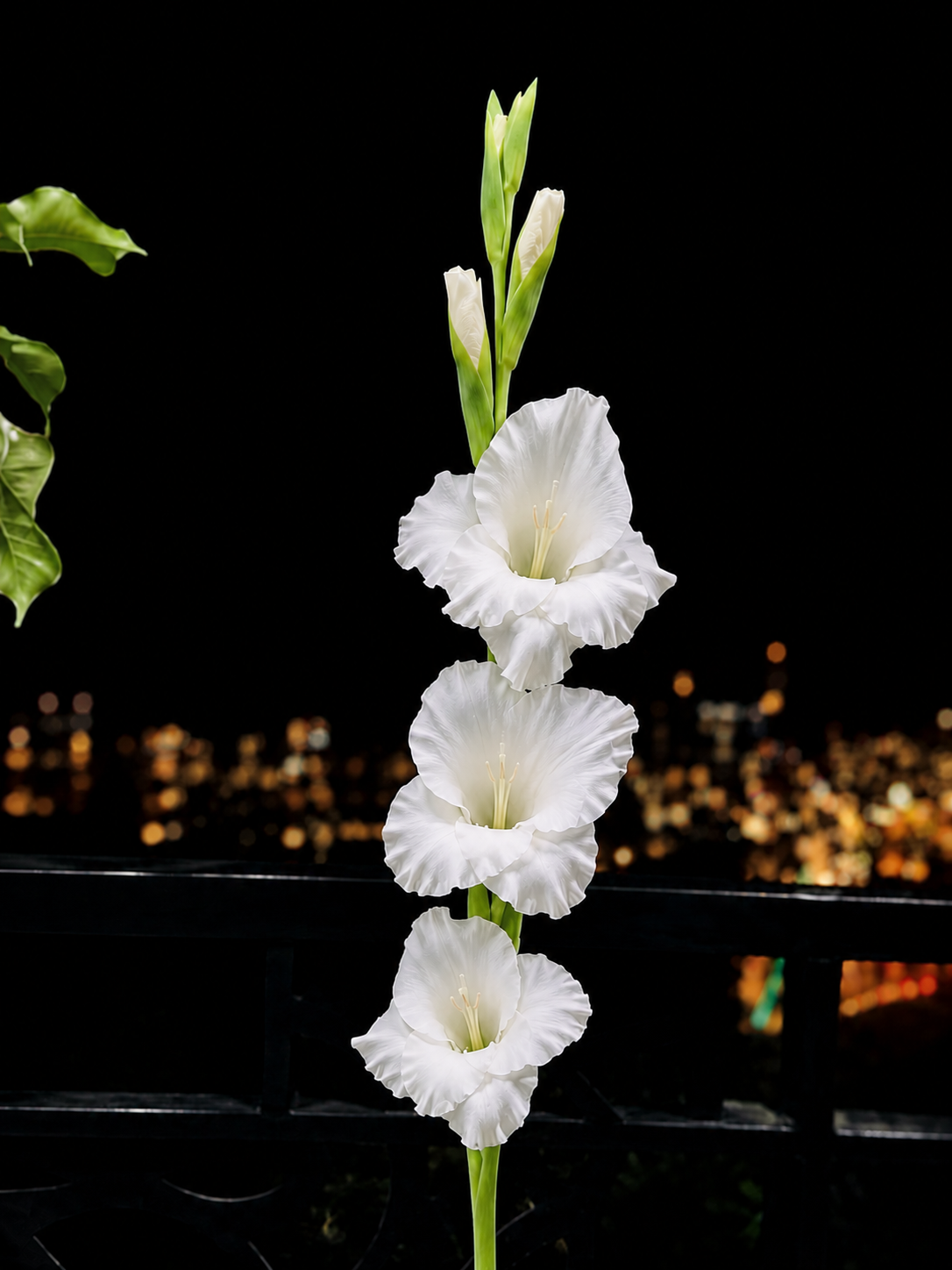 Glade White