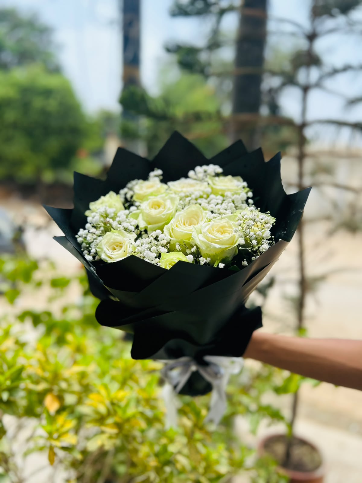 White Imported Roses Bouquet with Baby's Breath