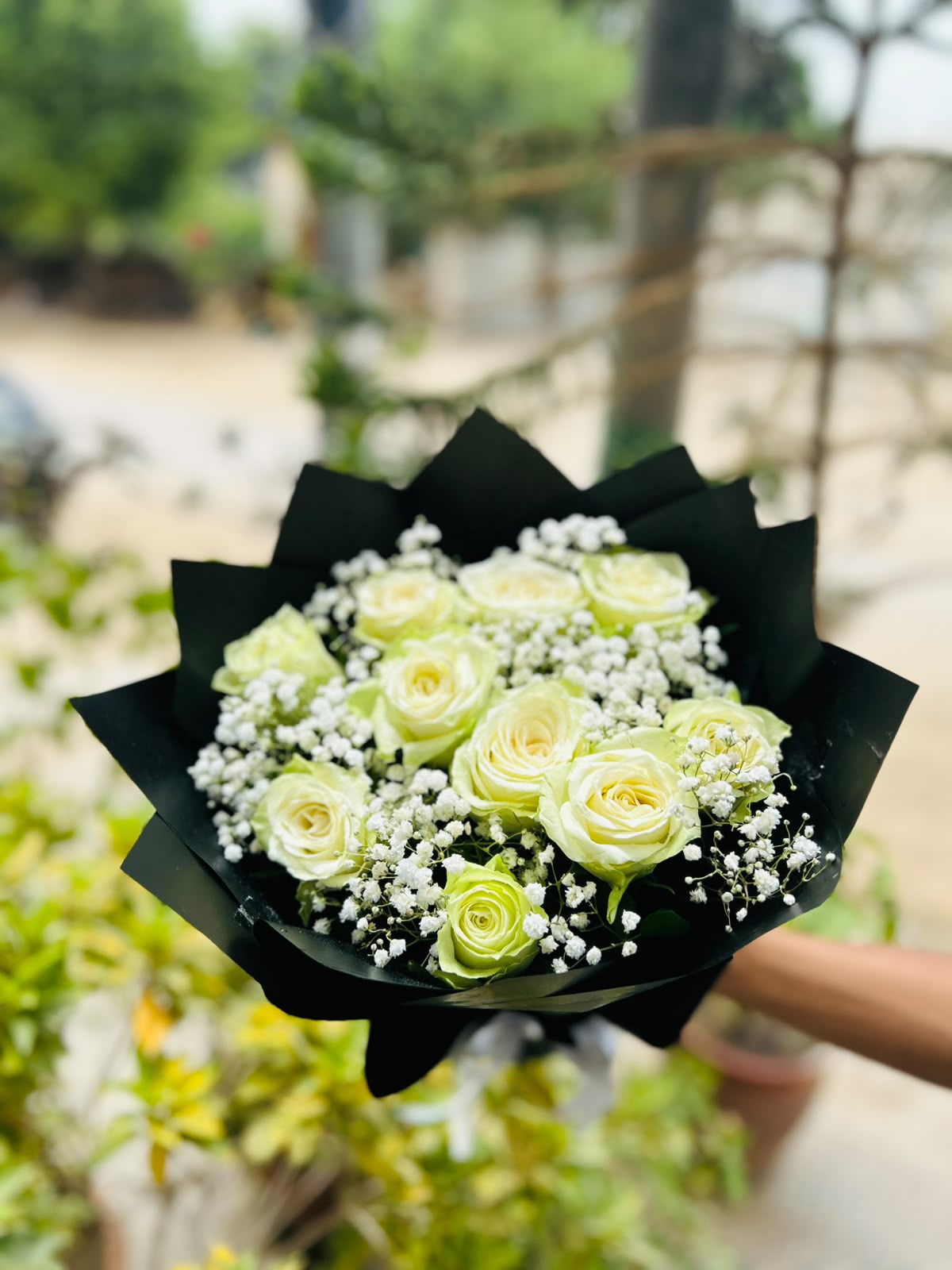 White Imported Roses Bouquet with Baby's Breath