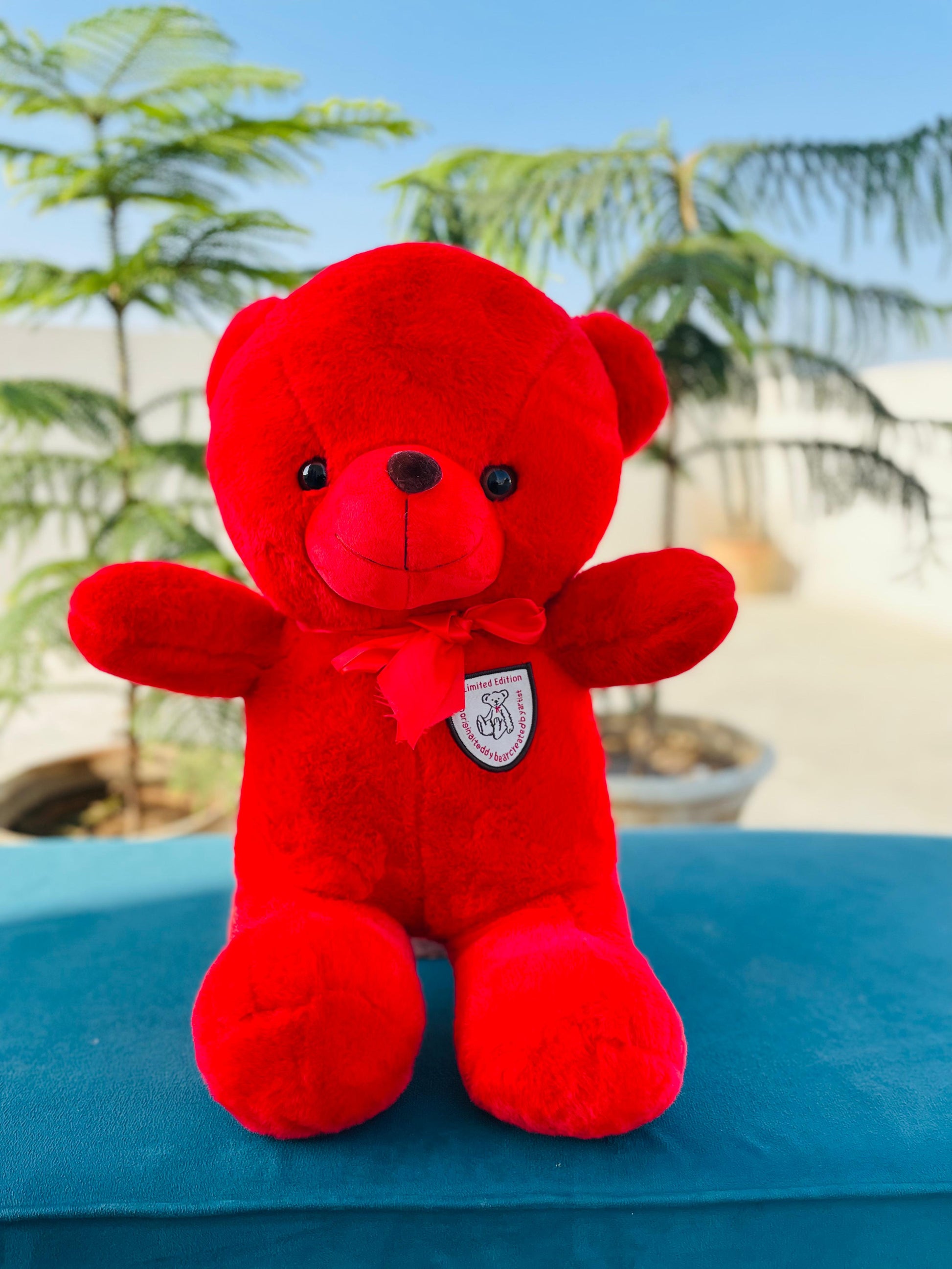 Red teddy bear Valentine gift
