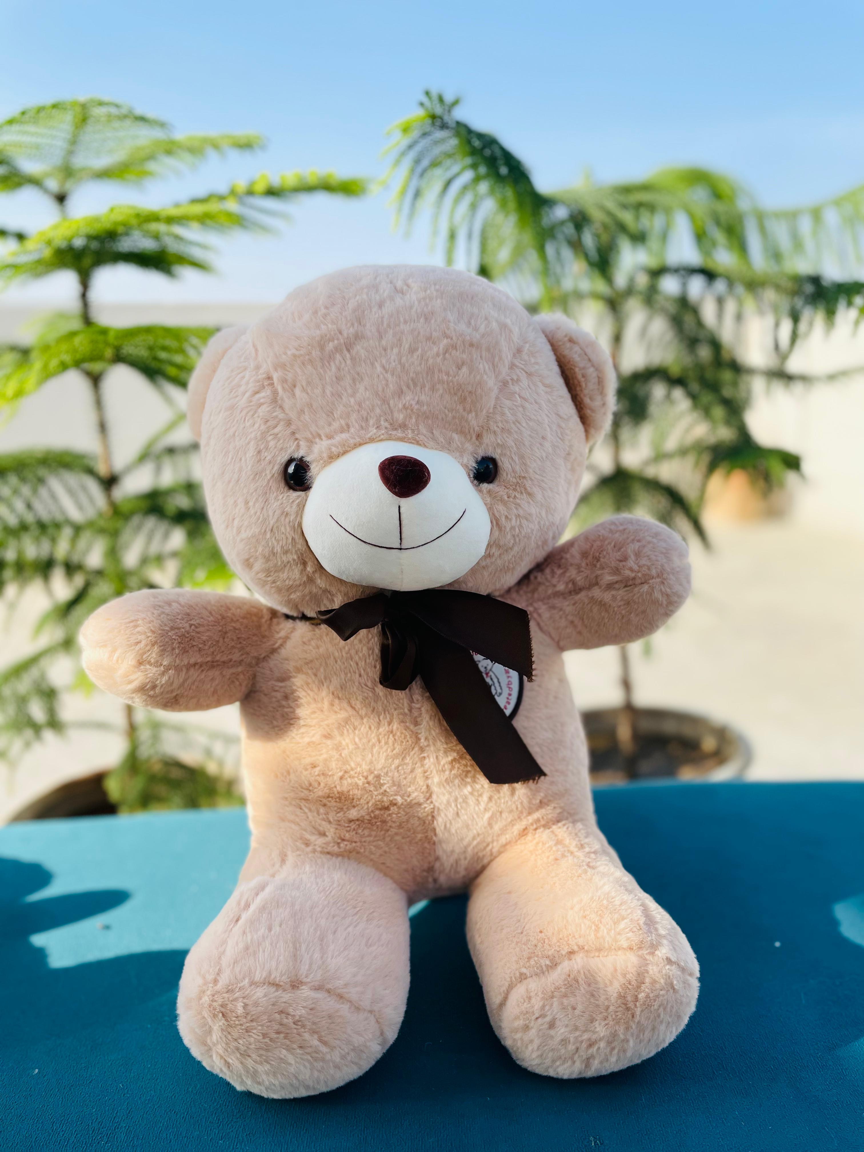 Beige Teddy Bear | Classic Valentine Gift – Giftogram by Samana ...