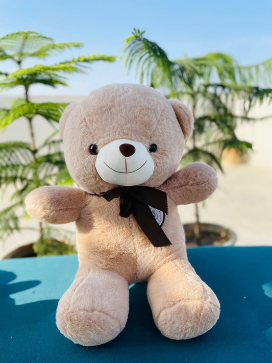 Beige teddy bear Valentine gift