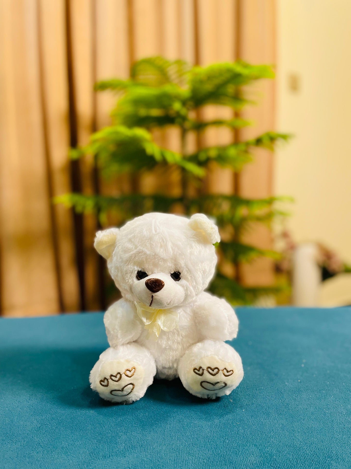 White teddy bear Valentine gift