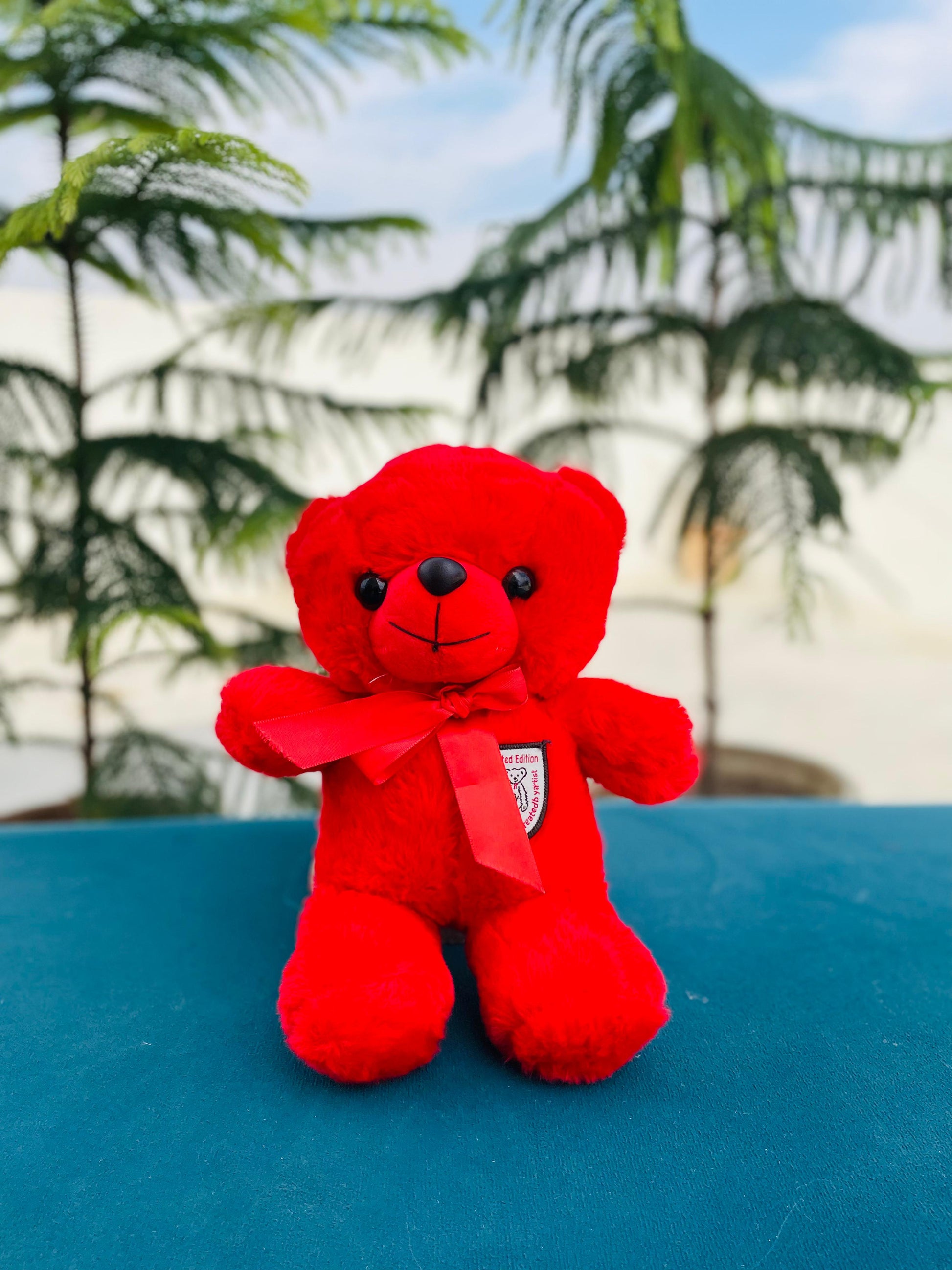 Classic red teddy bear Valentine gift