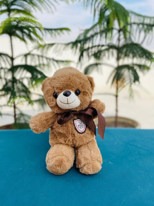 Brown teddy bear Valentine gift