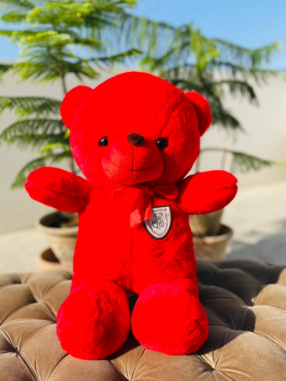 Red teddy bear Valentine gift