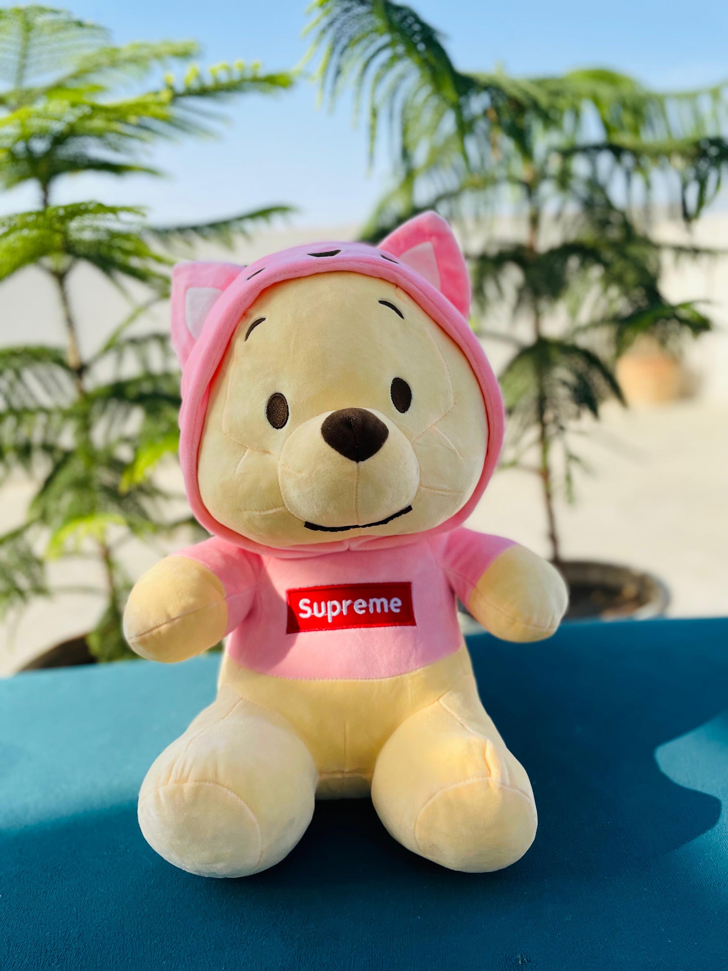 Pink hoodie teddy bear Valentine gift