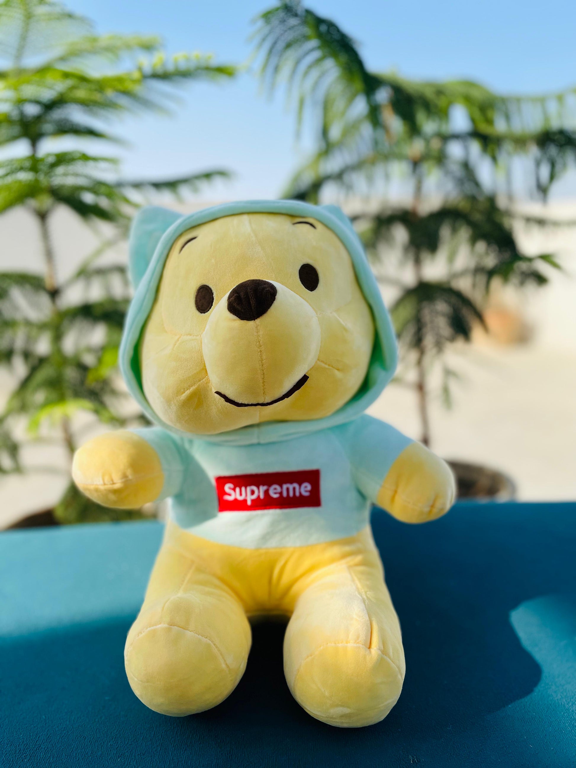 Mint hoodie teddy bear Valentine gift