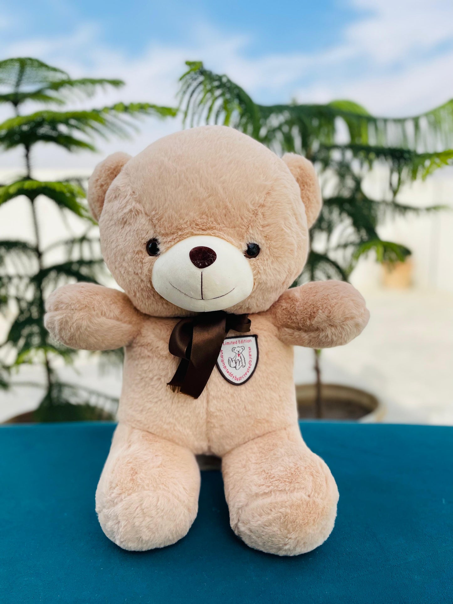 Soft brown teddy bear with ribbon